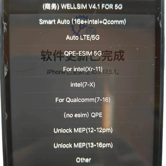Wellsim Pro versión 4.1 (tipo rsim)