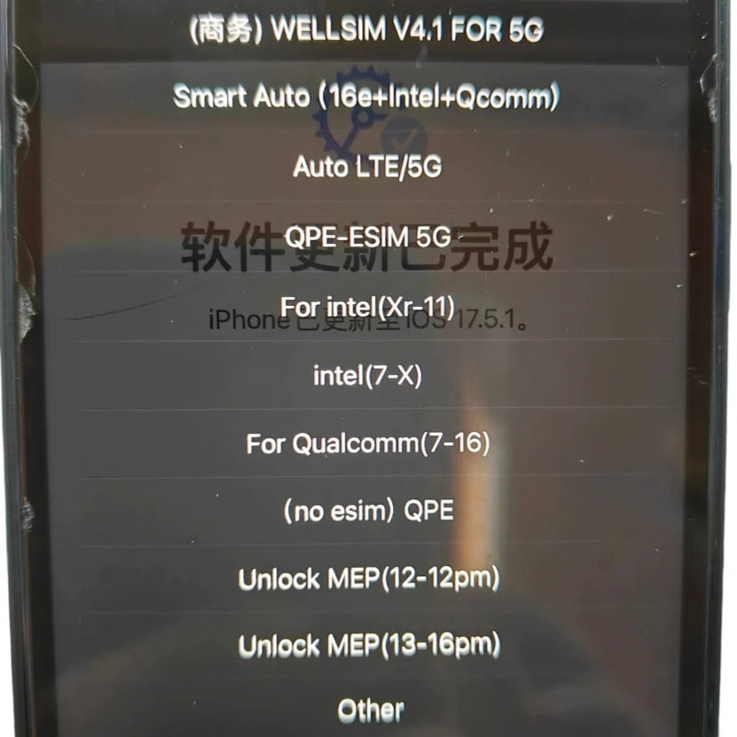 Wellsim Pro versión 4.1 (tipo rsim)